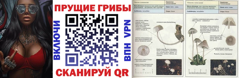 Псилоцибиновые грибы ЛСД  Карачев 